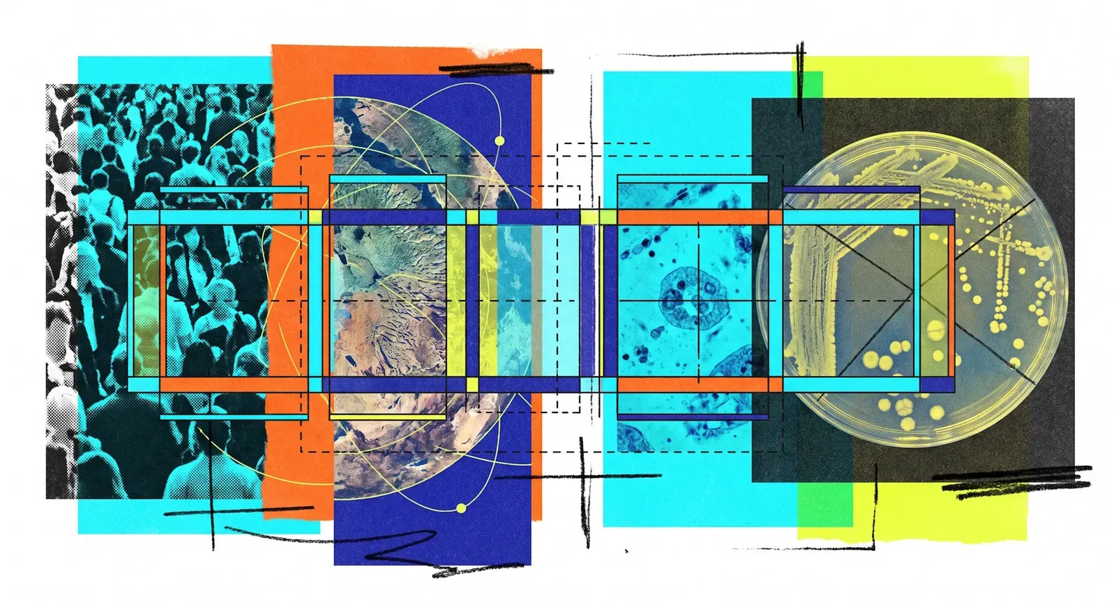 An AI system highlighting and counting various objects across different image types, such as cells, cars, and people, illustrating the "Count Anything" model's capability.